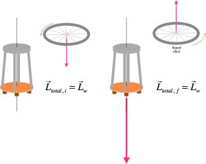 Angular momentum exchange