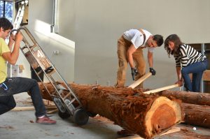 Levers working on a log