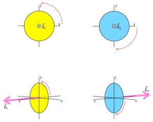 Overhead and perspective view of spins