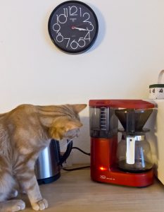 coffee machine and cat plus clock