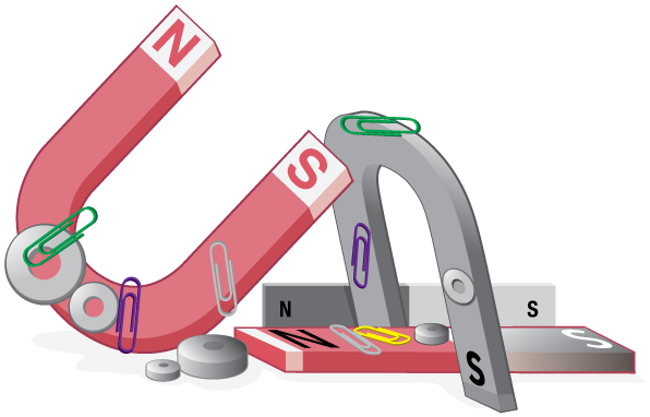 Bar magnets, horseshoe magnets, and disc-shaped magnets attract and repel each other. Metal paperclips stick to some of the magnets.