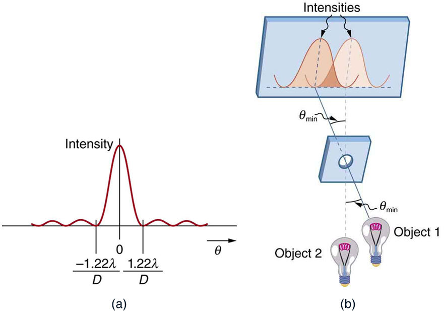 Part a of the figure shows a graph of intensity versus theta. The curve has a central maximum at theta equals zero and its first minima occur at plus one point two two lambda over D and minus one point two two lambda over D. Farther from the central peak, several small peaks occur, but they are much much smaller than the central maximum. Part b of the figure shows a drawing in which two light bulbs, labeled object one and object two, appear in the foreground positioned next to each other. Two rays of light, one from each light bulb, pass through a pinhole aperture and continue on to strike a screen that is farther back in the drawing. On the screen is an x y plot of the two resulting intensity patterns. Because the rays cross in the pinhole, the ray from the left light bulb makes the right-hand intensity pattern, and vice versa. The angle between the rays coming from the light bulbs is labeled theta min. Each ray hits the screen at the central maximum of the intensity pattern that corresponds to the object from which the ray came. The central maximum of object one is at the same position as the first minimum of object two, and vice versa.