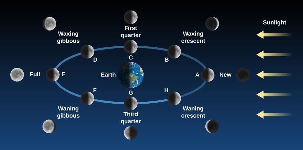 what-s-the-moon-phase-today-an-easy-guide-to-moon-phases