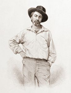 Drawing of Whitman
