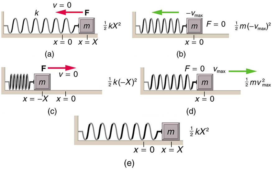 Figure a shows a spring on a frictionless surface attached to a bar or wall from the left side, and on the right side of it there’s an object attached to it with mass m, its amplitude is given by X, and x equal to zero at the equilibrium level. Force F is applied to it from the right side, shown with left direction pointed red arrow and velocity v is equal to zero. A direction point showing the north and west direction is also given alongside this figure as well as with other four figures. The energy given here for the object is given according to the velocity. In figure b, after the force has been applied, the object moves to the left compressing the spring a bit, and the displaced area of the object from its initial point is shown in sketched dots. F is equal to zero and the V is max in negative direction. The energy given here for the object is given according to the velocity. In figure c, the spring has been compressed to the maximum level, and the amplitude is negative x. Now the direction of force changes to the rightward direction, shown with right direction pointed red arrow and the velocity v zero. The energy given here for the object is given according to the velocity. In figure d, the spring is shown released from the compressed level and the object has moved toward the right side up to the equilibrium level. F is zero, and the velocity v is maximum. The energy given here for the object is given according to the velocity. In figure e, the spring has been stretched loose to the maximum level and the object has moved to the far right. Now again the velocity here is equal to zero and the direction of force again is to the left hand side, shown here as F is equal to zero. The energy given here for the object is given according to the velocity.