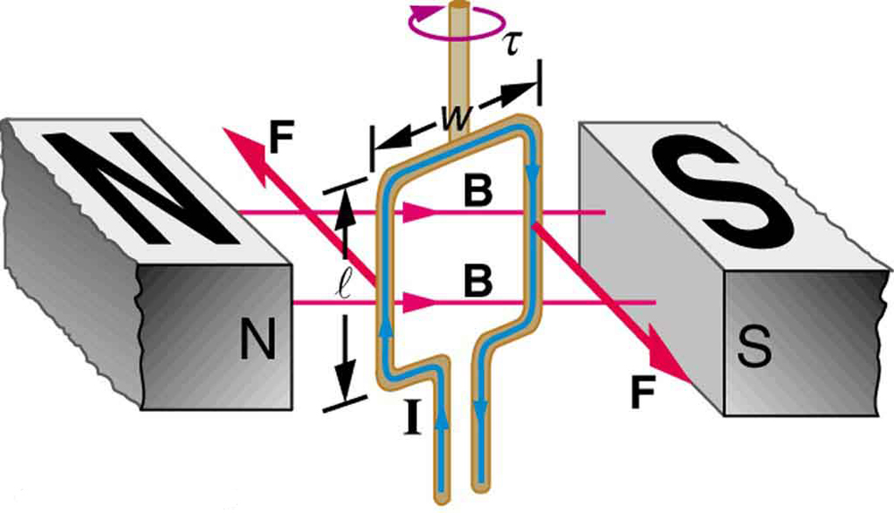 Diagram showing a current-carrying loop of width w and length l between the north and south poles of a magnet. The north pole is to the left and the south pole is to the right of the loop. The magnetic field B runs from the north pole across the loop to the south pole. The loop is shown at an instant, while rotating clockwise. The current runs up the left side of the loop, across the top, and down the right side. There is a force F oriented into the page on the left side of the loop and a force F oriented out of the page on the right side of the loop. The torque on the loop is clockwise as viewed from above.