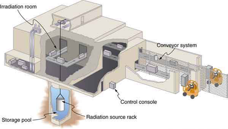 32.4 Food Irradiation – College Physics