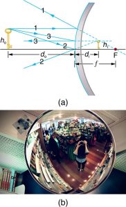 Figure (a) shows three incident rays, 1, 2, and 3, falling on a convex mirror. Ray 1 falls parallel, ray 2 falls making an angle with the axis, and ray 3 falls obliquely. These rays after reflection appear to come from a point above the axis. The image is erect and diminished and falls above the axis behind the mirror. Here, the distance from the center of the mirror to focal point F is the focal length small f behind the mirror; the distances of the object and the image from the mirror are d sub o and d sub I, respectively. The heights of the object and the image are h sub o and h sub I, respectively. Figure (b) shows an image of a apparel and clothing show room as viewed in a convex mirror; the image appears to be small in size.