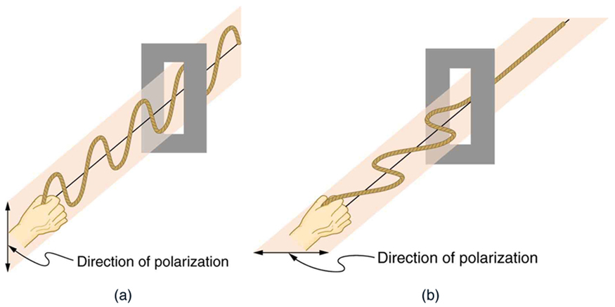 The figure shows waves on a vertically oscillating rope that pass through a vertical slit. A separate drawing shows waves on a horizontally oscillating rope that do not pass through a similar slit.